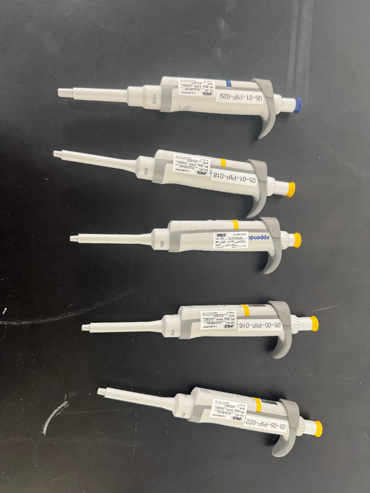 Image of Eppendorf Research Plus Single Channel Pipettes - Quantity 5